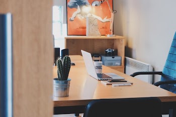          Desk, Laptop & Cactus Free Photo     