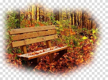 Desktop Art Autumn Drawing, hui transparent background PNG clipart