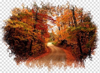 Desktop Autumn Display resolution Computer, autumn transparent background PNG clipart