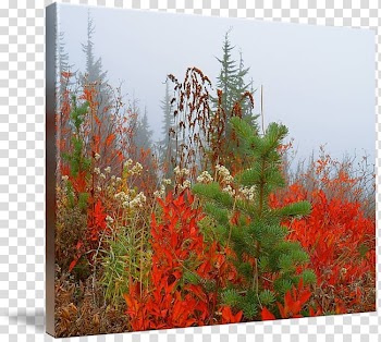 Desktop Autumn Flora, autumn price to transparent background PNG clipart