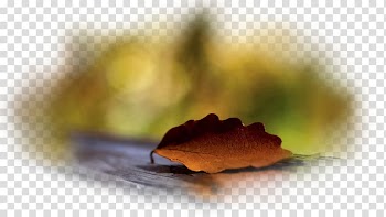 Desktop Autumn Leaf Desktop metaphor, autumn transparent background PNG clipart