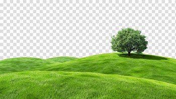 Desktop Bliss Grassland Landscape Advertising, tam tam transparent background PNG clipart