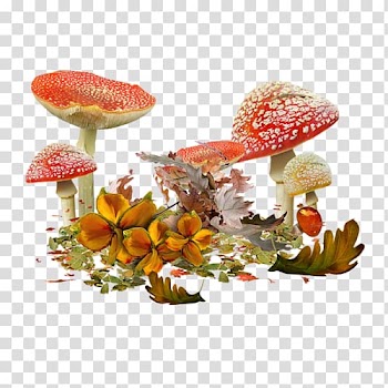 Desktop , chope transparent background PNG clipart