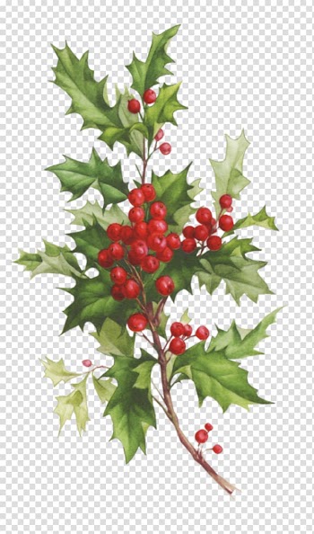 Desktop Christmas card Santa Claus, christmas transparent background PNG clipart