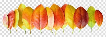 Desktop Close-up Computer, Computer transparent background PNG clipart