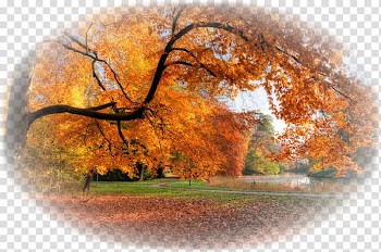 Desktop Computer, Computer transparent background PNG clipart