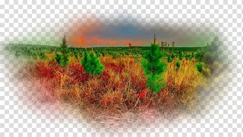 Desktop Computer Sky plc, autumn scenery transparent background PNG clipart