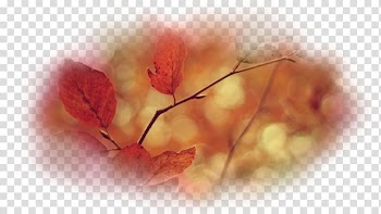 Desktop Desktop metaphor Branch Computer Leaf, Computer transparent background PNG clipart