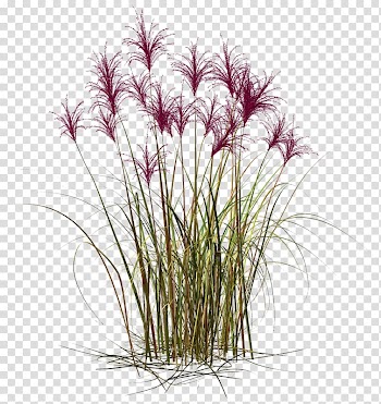 Desktop Flower, others transparent background PNG clipart