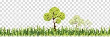 Desktop Grasses Vegetation Computer Plant stem, Selva transparent background PNG clipart
