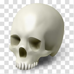 Desktop Halloween Icons, Scull transparent background PNG clipart