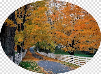 Desktop High-definition television 1080p Desktop Computers 4K resolution, autumn benefits transparent background PNG clipart