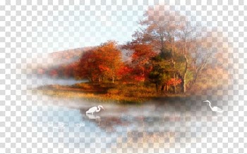 Desktop High-definition television .com Autumn, others transparent background PNG clipart