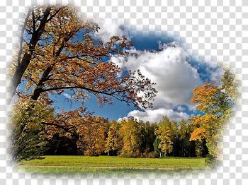 Desktop High-definition television Desktop Computers , Computer transparent background PNG clipart