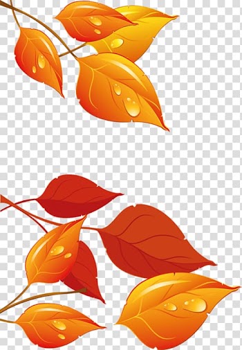 Desktop , Leaf transparent background PNG clipart
