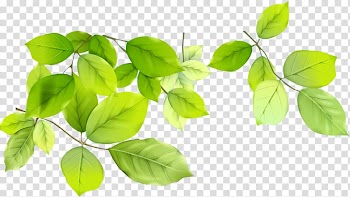 Desktop , Leaf transparent background PNG clipart