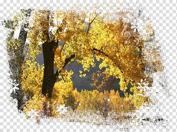 Desktop Mobile Phones Autumn High-definition television Wide XGA, autumn transparent background PNG clipart