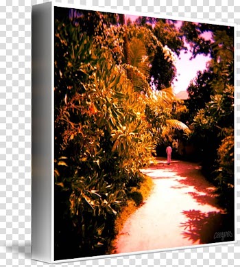 Desktop Nature M Computer, Computer transparent background PNG clipart