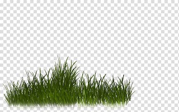 Desktop , others transparent background PNG clipart