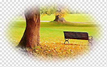 Desktop Park Kensington Gardens Bench , park transparent background PNG clipart