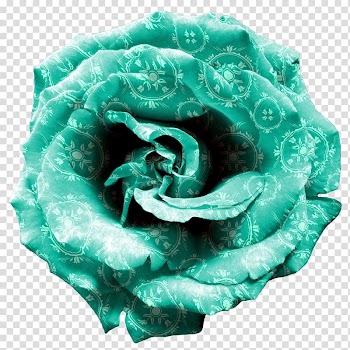 Desktop Rose Turquoise, teal frame transparent background PNG clipart