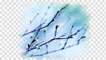 Desktop Sky Light Spring 1080p, light transparent background PNG clipart