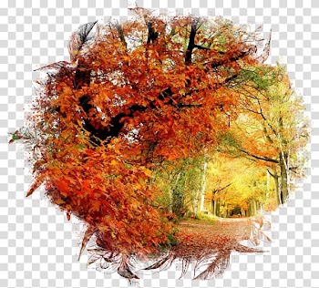 Desktop Ultra-high-definition television UXGA 4K resolution, autumn transparent background PNG clipart