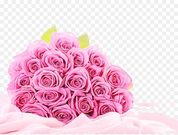 Desktop Wallpaper, Birthday, Rose, Pink PNG