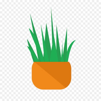 Desktop Wallpaper, Computer, Grasses, Grass, Green PNG
