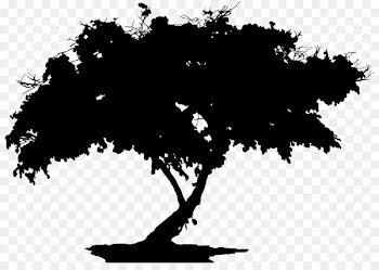 Desktop Wallpaper Computer Silhouette Font Leaf -  