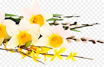 Desktop Wallpaper, Daffodil, Flower, Yellow PNG