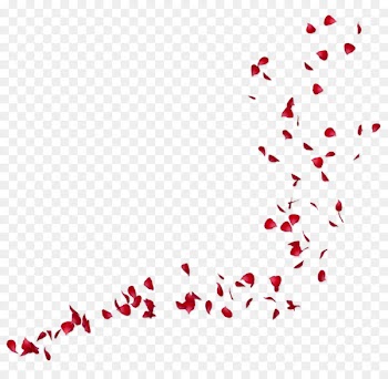 Desktop Wallpaper Dime Piece - rose petals 