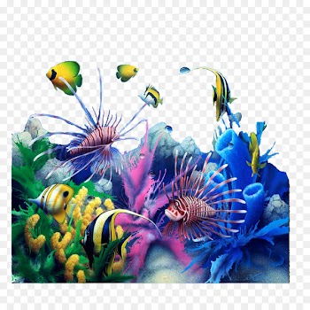 Desktop Wallpaper Fish Aquarium 3D computer graphics 1080p Wallpaper - others 