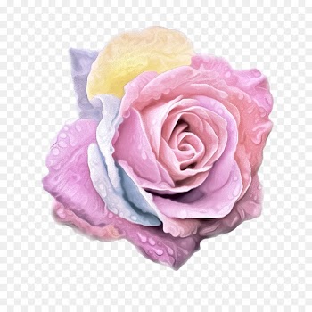 Desktop Wallpaper Flower WhatsApp - flower 