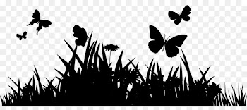 Desktop Wallpaper Font Silhouette Computer M. Butterfly -  