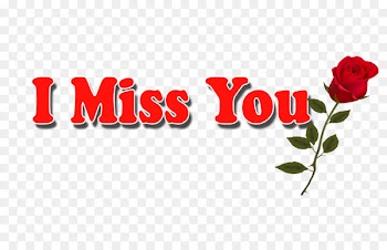 Desktop Wallpaper Garden roses Typography Font - first name 