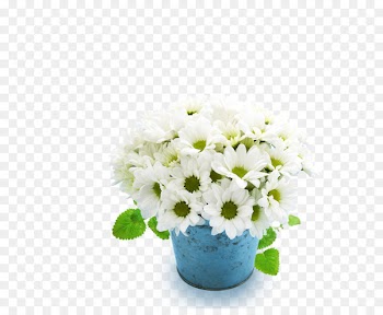 Desktop Wallpaper Image High-definition television Photograph Morning - floral decoration 