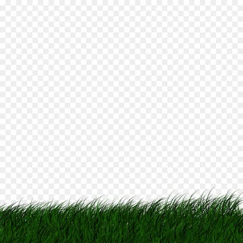 Desktop Wallpaper, Lawn, Green, Grass PNG