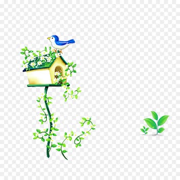 Desktop Wallpaper Portable Network Graphics Child Image Photograph - planta de casa 