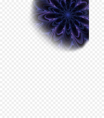 Desktop Wallpaper Purple Computer Transvaal daisy - salon sahne 