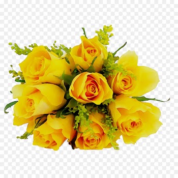 Desktop Wallpaper Rose Image Yellow Clip art -  