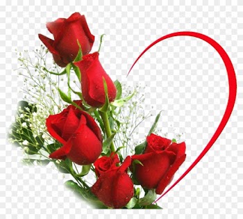 Desktop Wallpaper Rose Love Flower Stock Photography - Beautiful Love Rose Flowers