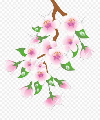 Desktop Wallpaper, Spring, Download, Flower, Plant PNG