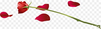 Desktop Wallpaper Wallpapers love Symbol Heart - symbol 