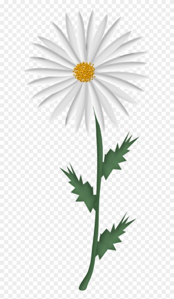 Dessin Marguerite Fleur Se Rapportant À Tubes Fleurs - Picture Frame