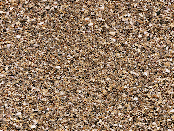 Detail of Crushed Seashell Fragments and Beach Gravel