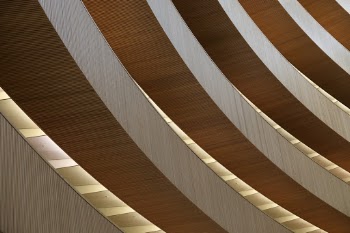detail RWI Zürich library architecture Santiago Calatrava