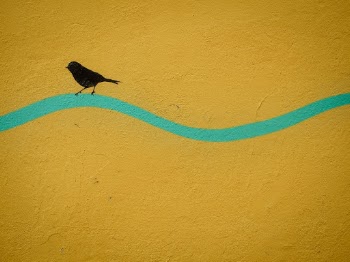 Detail shot from artwork by Kenny Random. Often his street art which pop up in unexpected locations and brighten up any locations they were positioned.