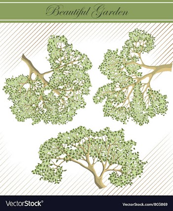  					Detailed branches of trees vector image														