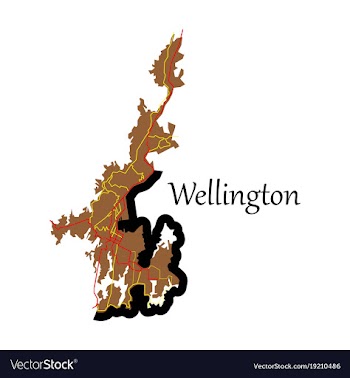 Detailed flat map of wellington new zealand vector image